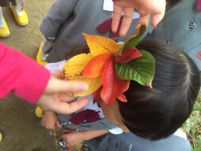 「Kせんせい」先輩の声：にしたかどのわかばようちえん｜西高殿若葉幼稚園