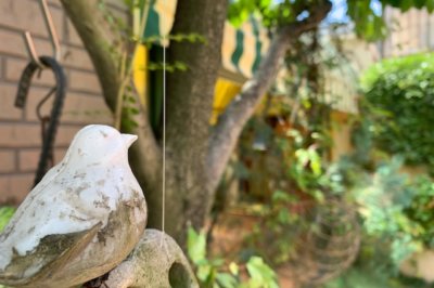 5月の風景　西高殿若葉幼稚園　にしたかどのわかばようちえん