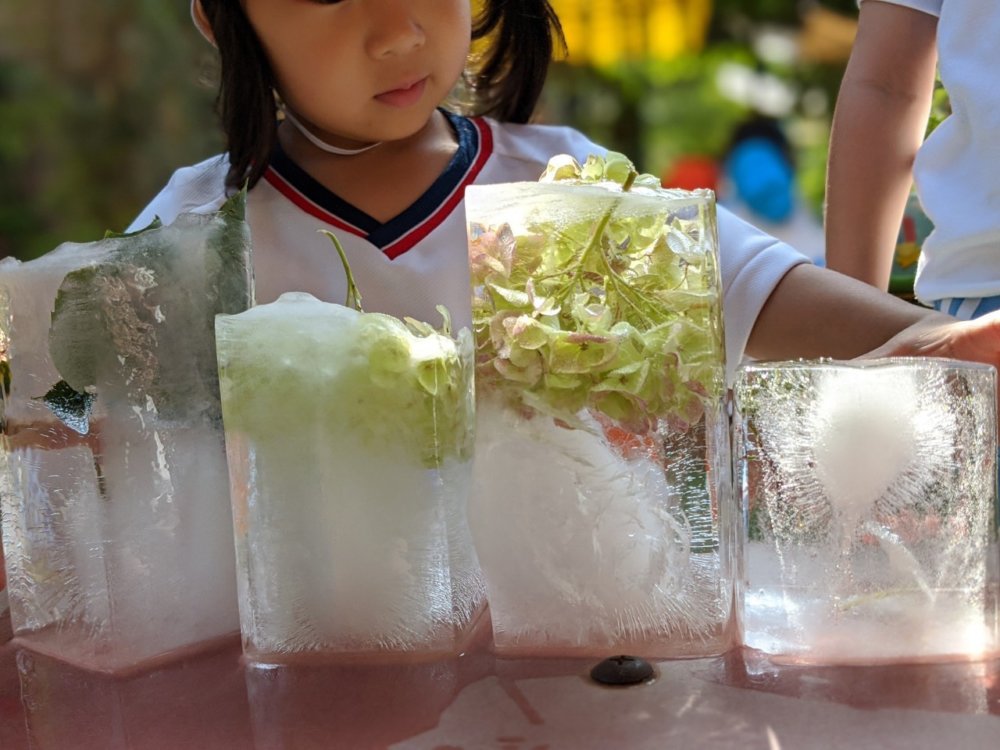 涼　西高殿若葉幼稚園　にしたかどのわかばようちえん