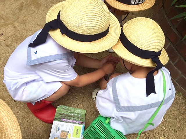 ヒソヒソヒソ… 西高殿若葉幼稚園 にしたかどのわかばようちえん