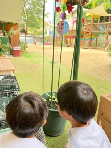 アサガオ　西高殿若葉幼稚園　にしたかどのわかばようちえん