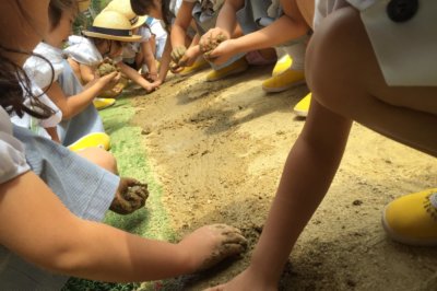 「Sせんせい」先輩の声：にしたかどのわかばようちえん｜西高殿若葉幼稚園