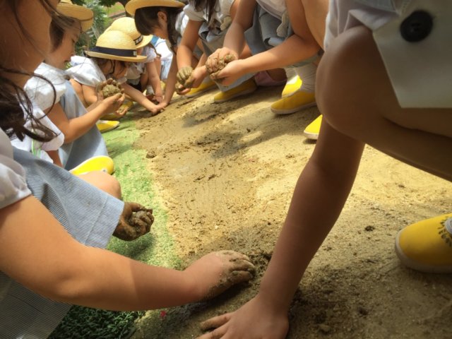 「Sせんせい」先輩の声：にしたかどのわかばようちえん｜西高殿若葉幼稚園